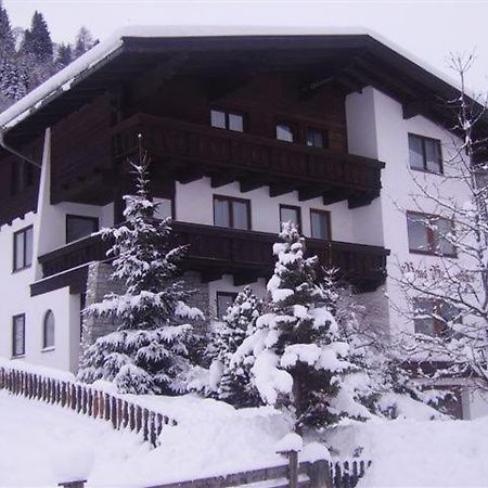 Hotel Gaestehaus Hochwimmer à Hollersbach im Pinzgau Extérieur photo