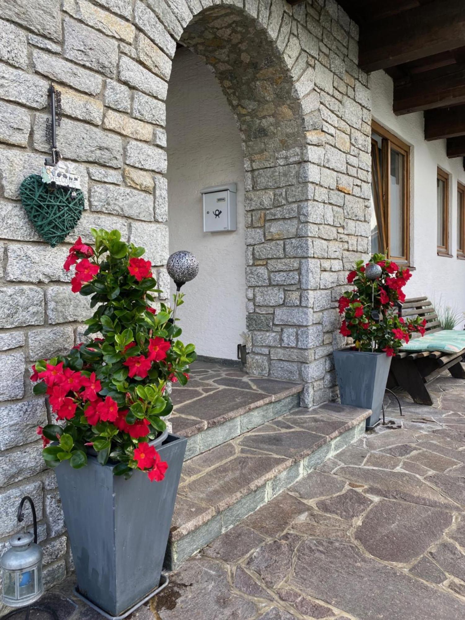 Hotel Gaestehaus Hochwimmer à Hollersbach im Pinzgau Extérieur photo