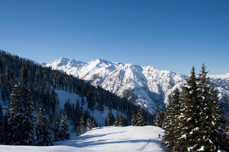 Hotel Gaestehaus Hochwimmer à Hollersbach im Pinzgau Extérieur photo